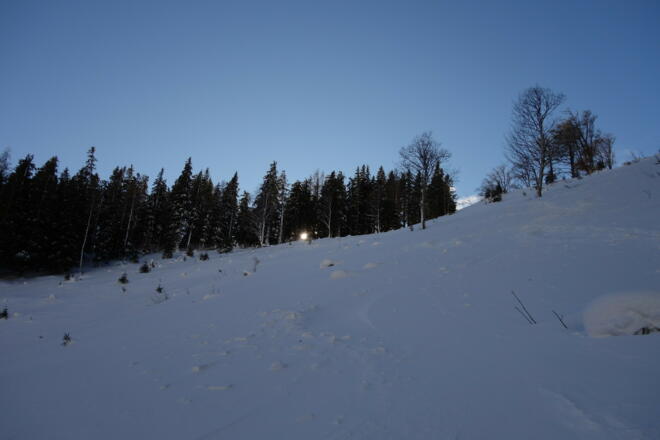 Abstieg zur Straße im Kahlschlag ~1400m - 1265m