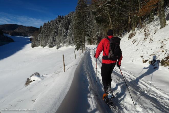 Ein paar Spuren waren auf der Forststraße bereits vorhanden