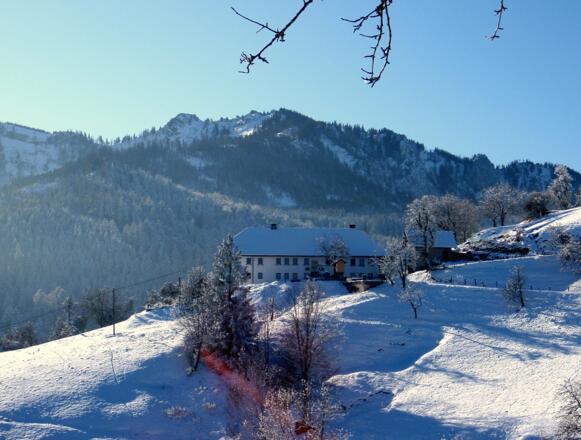 Startpunkt 810 m, nach dem Hof 801m