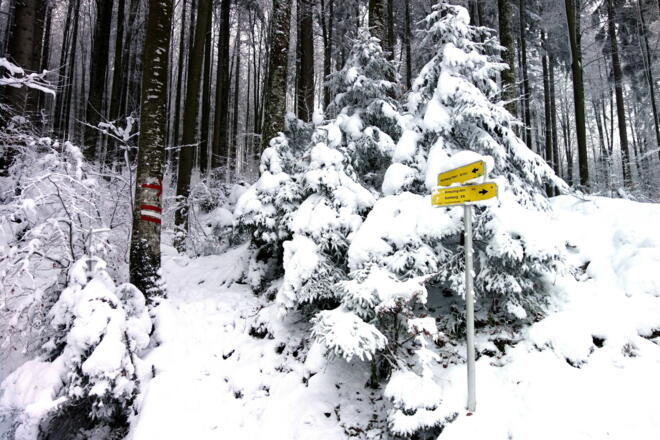 Rechts ab (810m) Wanderpfad WEG 7