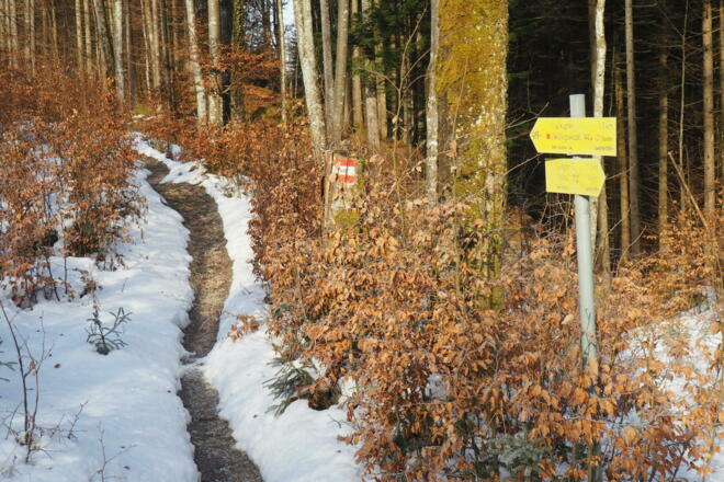 Nach der Jagdhütte 580m