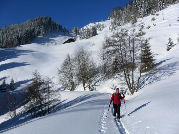 Almhänge des Hohenecks