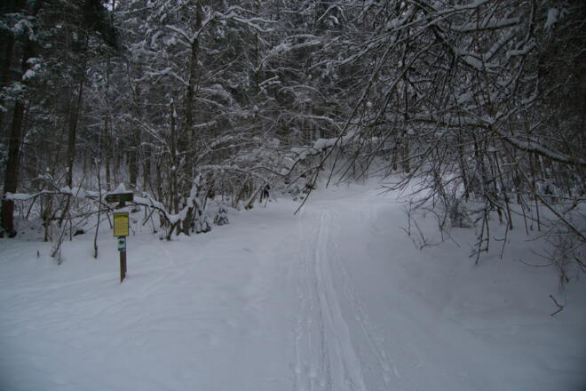 Kurz nach der Brücke über die Pießling