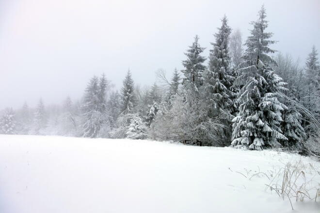 Plateau Taubenkogel 901m