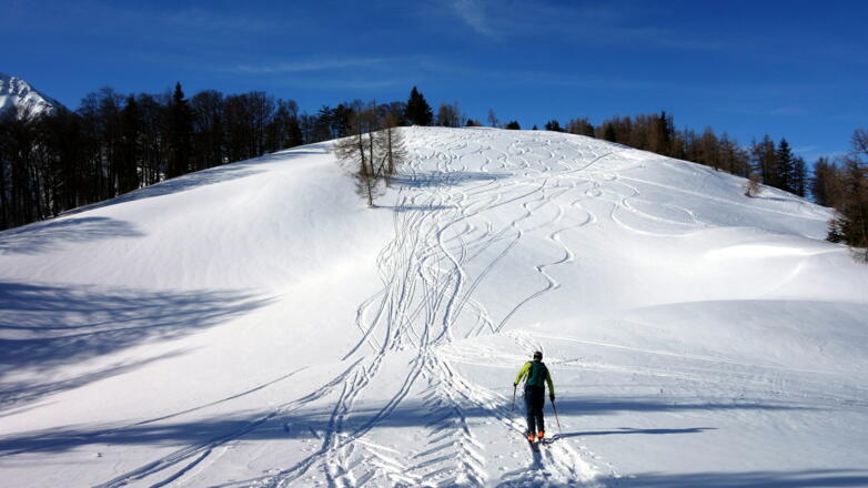 Senke 1470m, Schlussanstieg zum Schafkogel