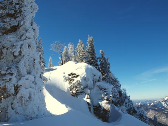 Gipfelgrat zum Spitzplaneck Nord