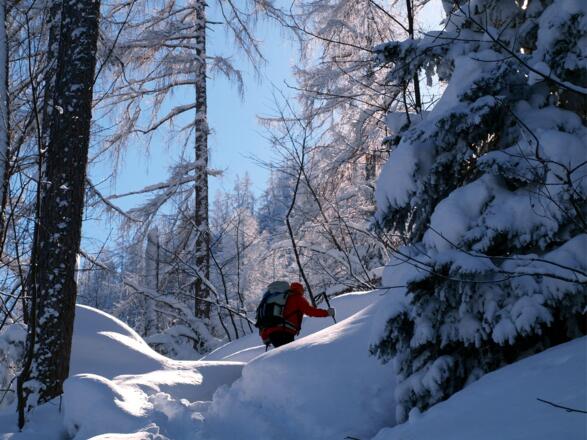 Anstieg zur Zellerhütte