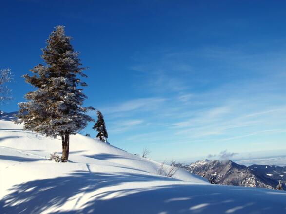 Benn Nock 1520m Gipfelplateau