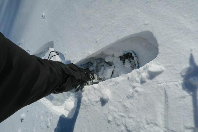 Die dünne Harschschicht war eher hinderlich