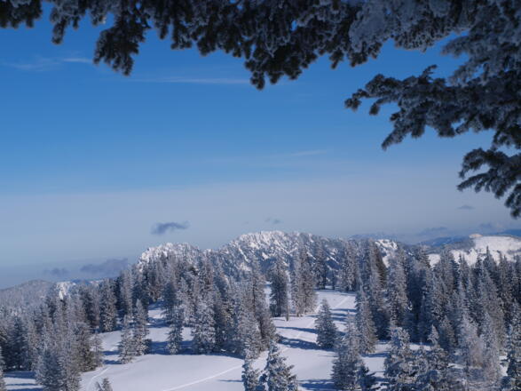 Benn Nock 1540m, Blick zur Kremsmauer