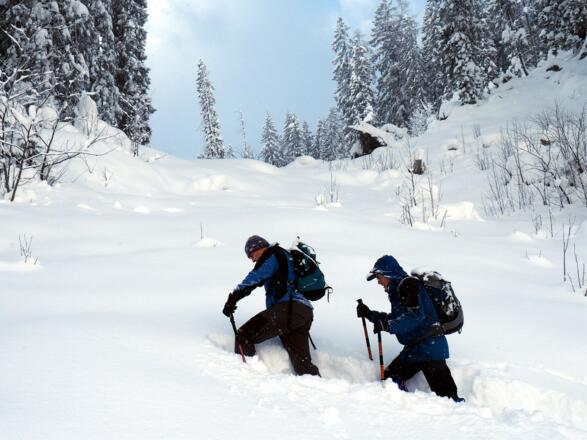 Spurarbeit am Gipfelhang ~1420m
