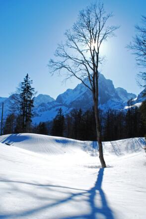 Spitzmauer vom Jagdhaus unter dem Ameiskogel aus