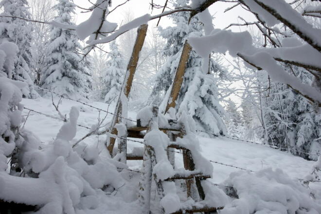 Zaun Überstieg ~875m zum Widhag 907m