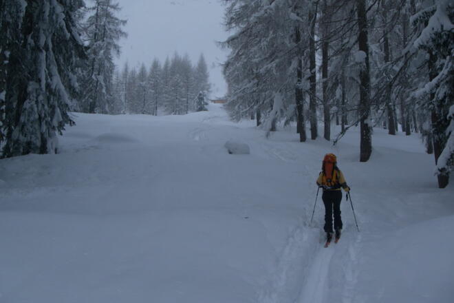 Baumfreie Schneise mit Dümlerhütte im Hintergrund