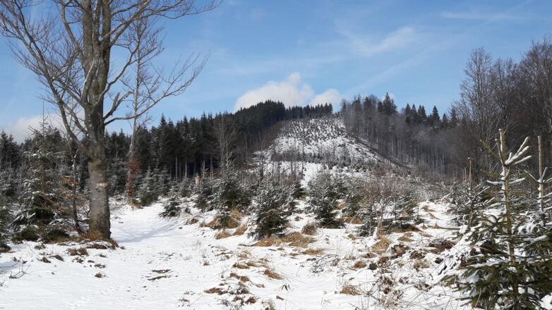 Plateau um 930m mit Richtberg