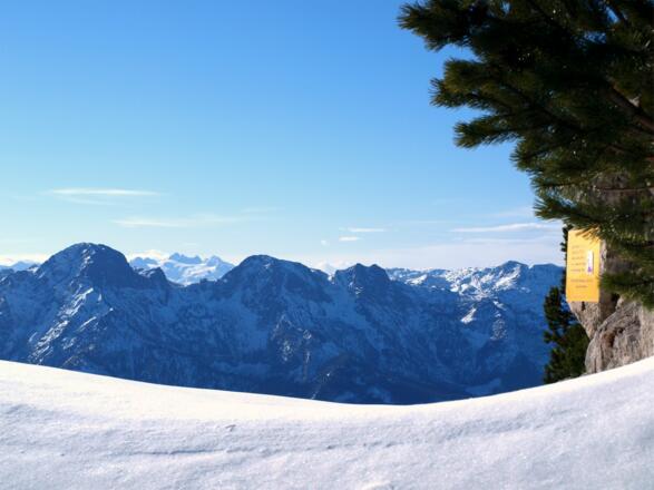 Scharte mit Gedenktafel um 1680m, Dachstein im Blickfeld.
