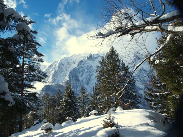 Zamseggerkogel 1031m