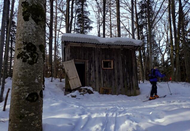 Hütte am Hamberg 854m