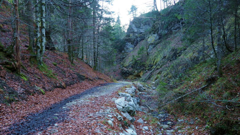 Katzengraben, unterer Bereich