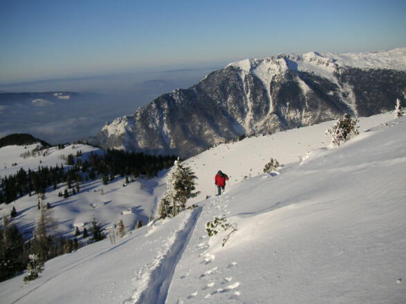 Tiefblick zur Leonsbergalm