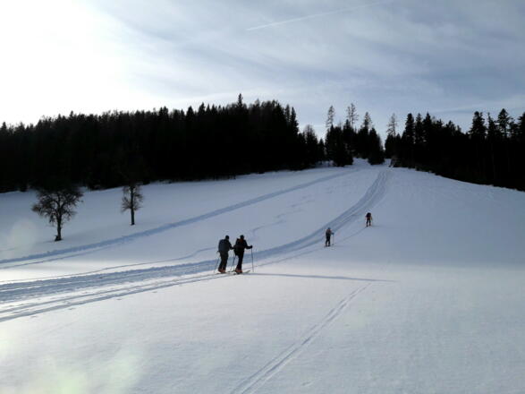 Am Hof (710 m) vorbei zum Hamberg