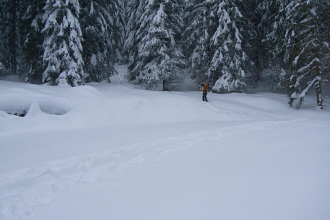 Am Ender der Roßleitenreithalm geht es wieder in den Wald