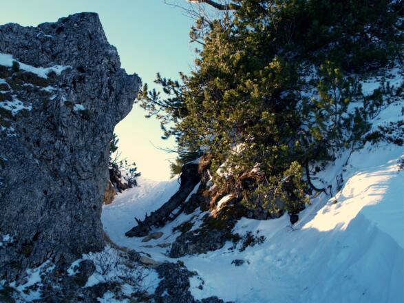 Am Nordgrat zum Benn Nock ~1470m