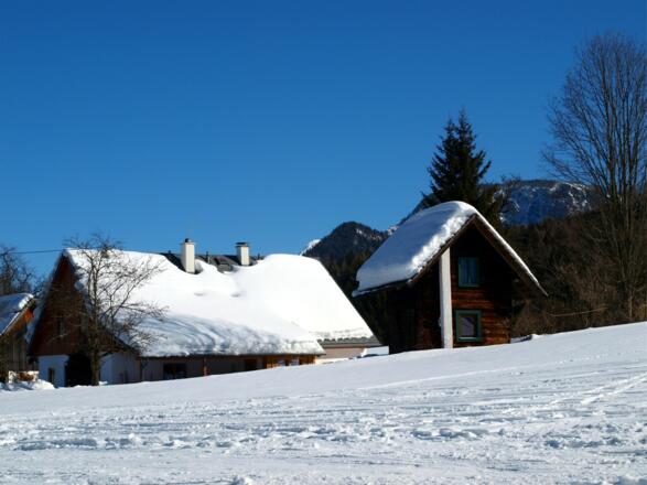 Kurz nach dem Start, Rotbuchner