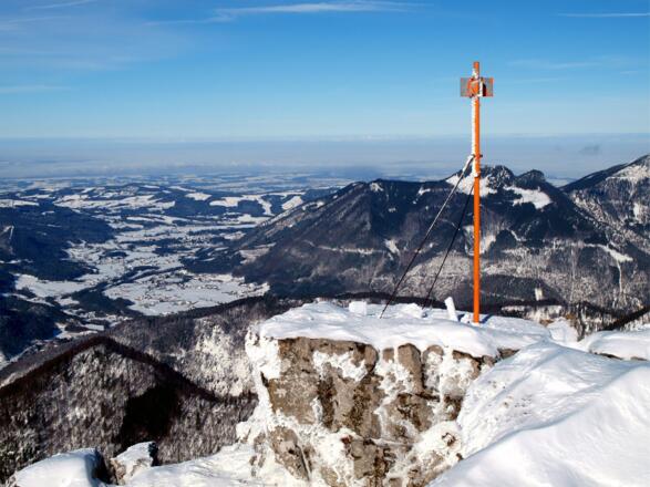 Gipfelstange Spitzplaneck Nord 1595m