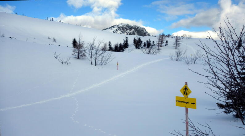 Tafel 1620 m, diese findet man häufig, da viele Schneeschuhrouten