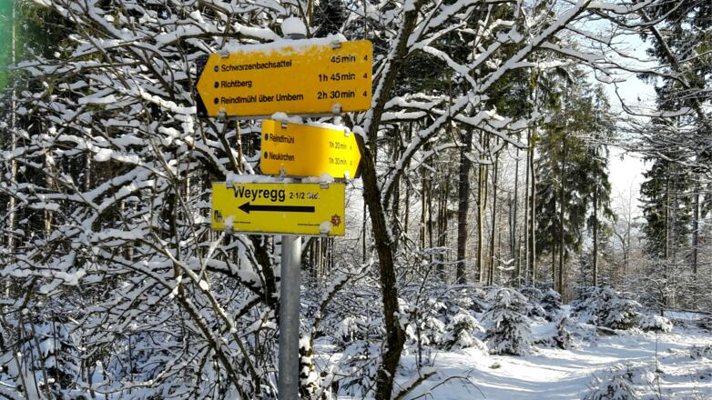 Wegtafel am Start 910m