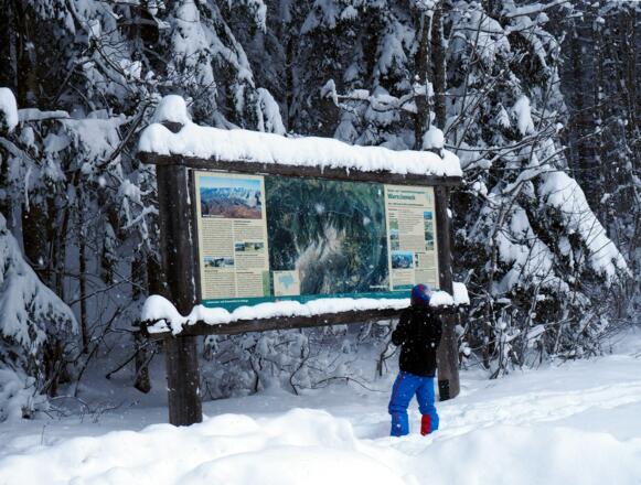 920m Parkplatz Hintersteineralm