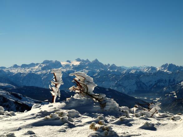 Großer Höllkogel 1862m mit Dachsteinmassiv