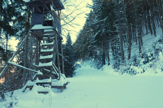 Jagastand ~940m am Rückweg