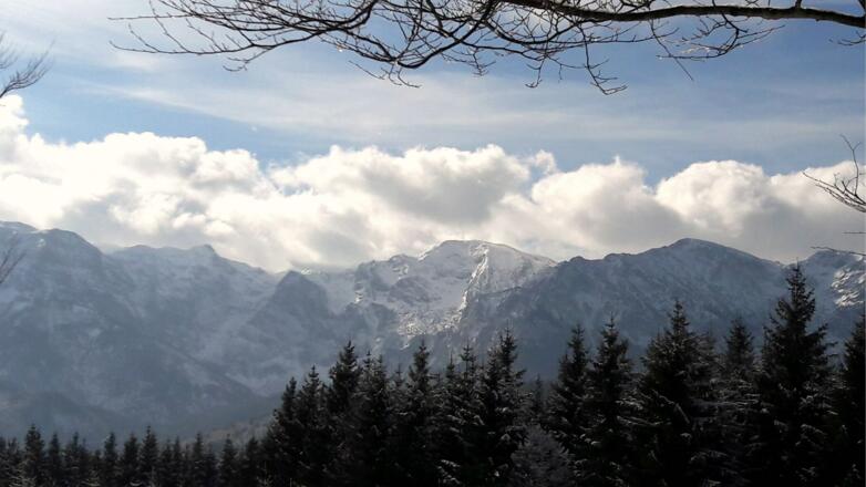 Grünalmkogel und Brunnkogel im Höllengebirge