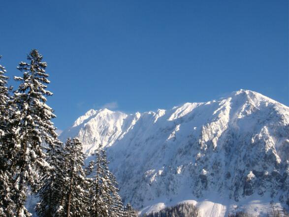 Blick zum Bosruck vom Wurzeralmgebiet um 1400m