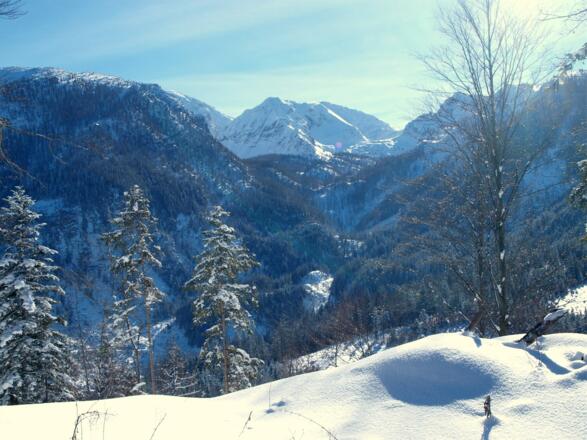 Hutkogel 1196m, Logistal siehe Pyhrner Kampl.