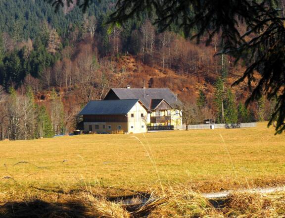 Forsthaus im Brunnental ~555m