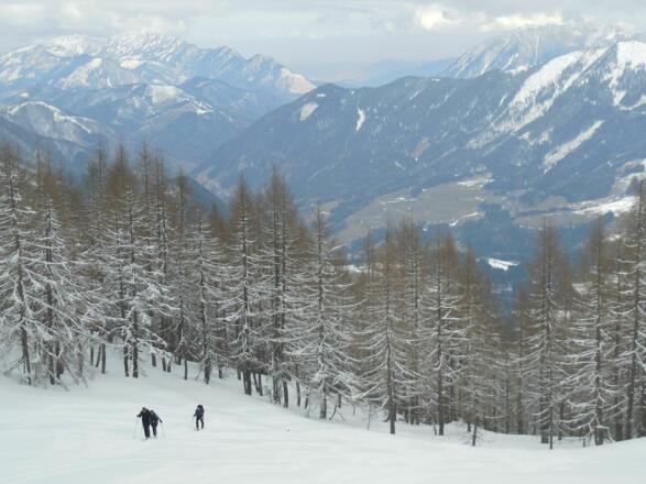 Aufstieg nach dem steilen Wald