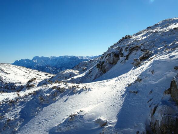 Schlussanstieg zum Höllkogel um 1750m