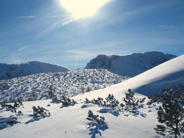 Blick zur Wildalmleiten 1917m