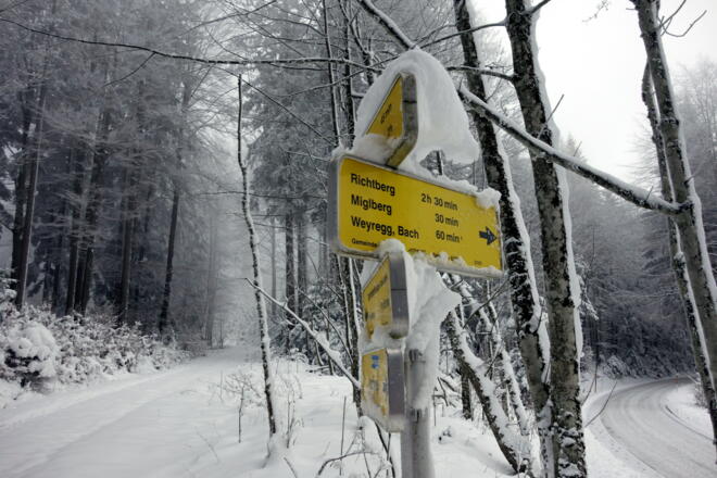 Straße links verlassen (Forstweg ~835m) Richtung Hongar