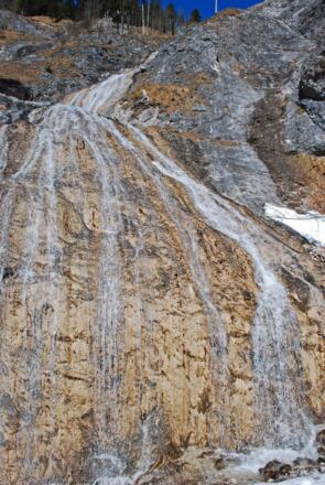 Am Forstweg zur Jaidhauserrreith