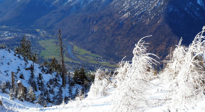 Gratabstieg mit Tiefblick zur Traun