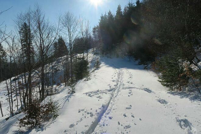 Bis 1100m kam ich ohne Schneeschuhe gut voran, dann in der Skispur wechselte ich auf Schneeschuhe