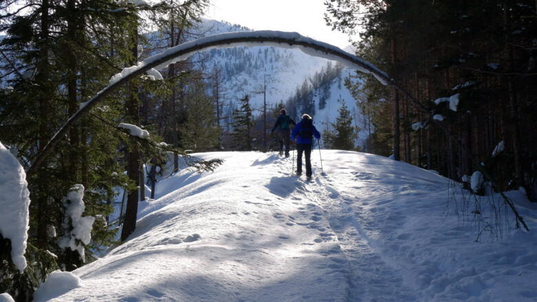Die letzten Meter 1198m