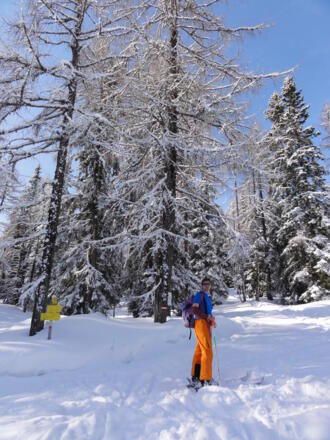 Abzweigung von der Piste zur Burgstalleralm (1570 m) 