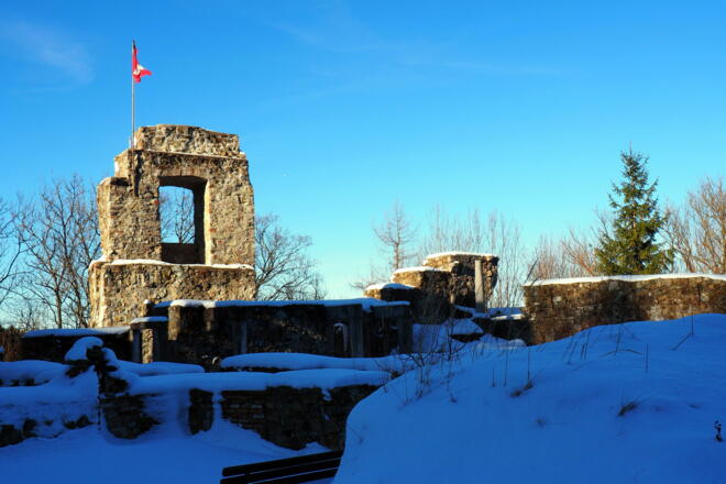 Ruine Seisenberg 739m