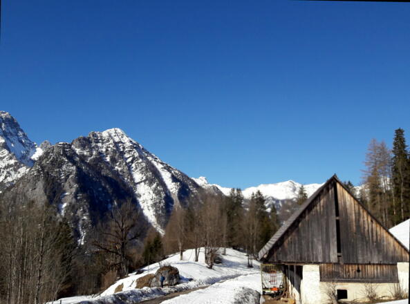 ~885m Untere Buchebenreith