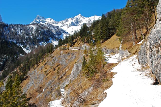 Forstweg zur Jaidhauserrreith mit Brotfall und Gr. Priel